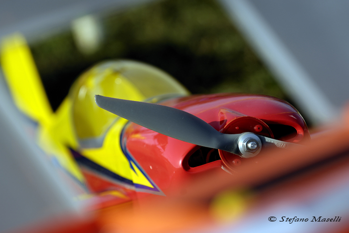Copyright Stefano Maselli