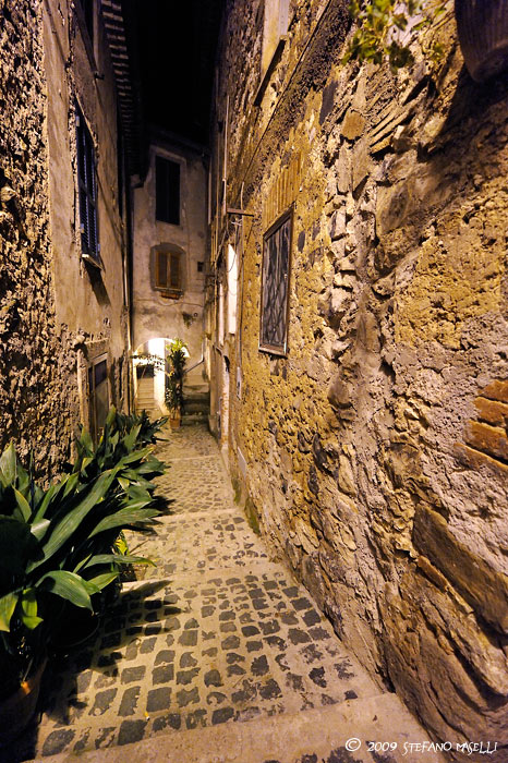 Copyright Stefano Maselli