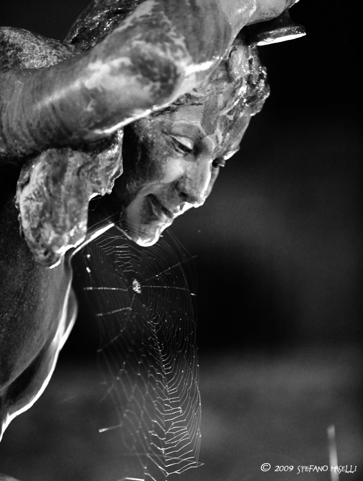 Copyright Stefano Maselli