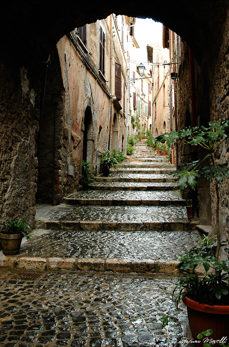 Copyright Stefano Maselli