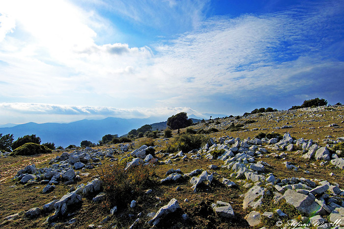 Copyright Stefano Maselli