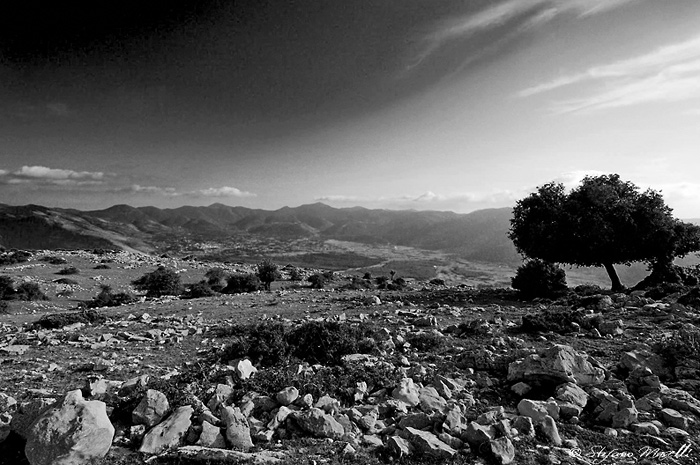 Copyright Stefano Maselli
