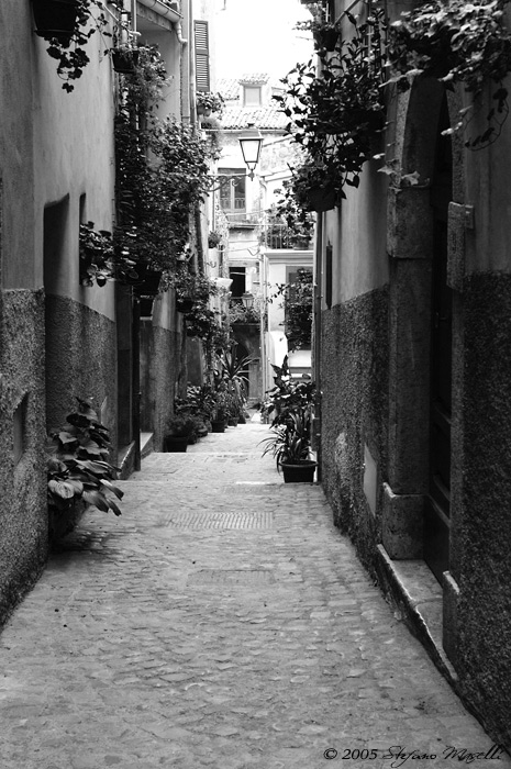 Copyright Stefano Maselli