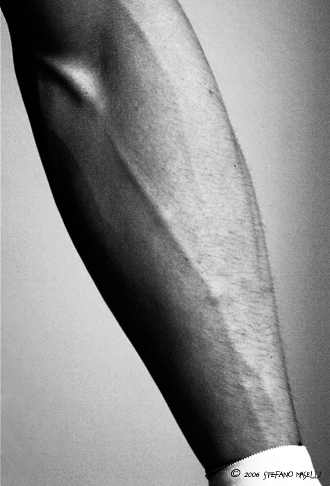 Copyright Stefano Maselli