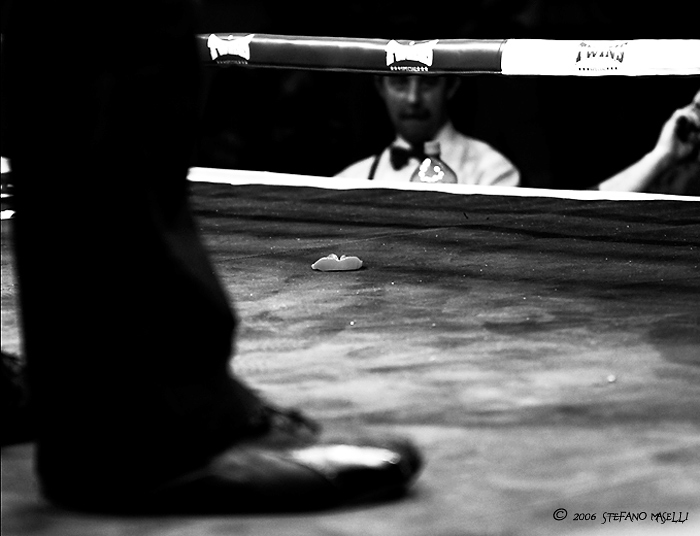 Copyright Stefano Maselli