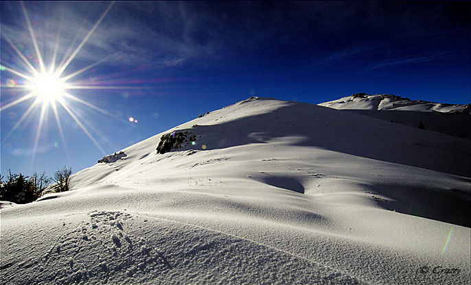 Copyright Stefano Maselli