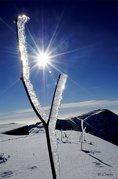 Copyright Stefano Maselli