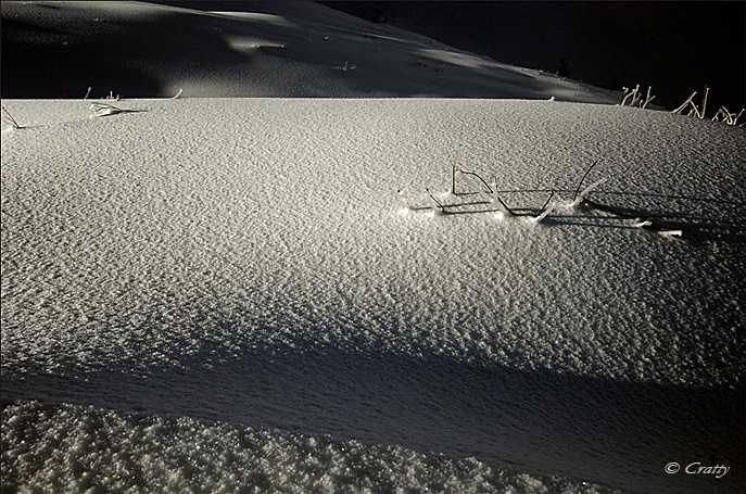 Copyright Stefano Maselli