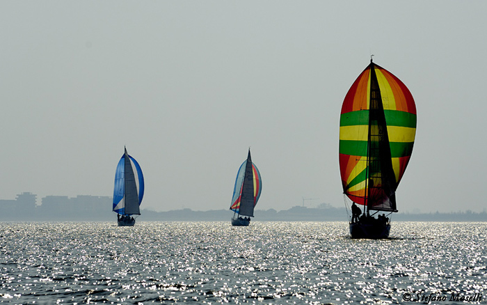 Copyright Stefano Maselli