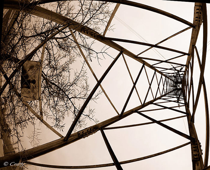 Copyright Stefano Maselli