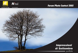 Copyright Stefano Maselli