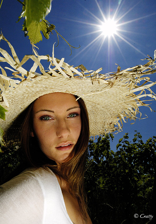 Copyright Stefano Maselli