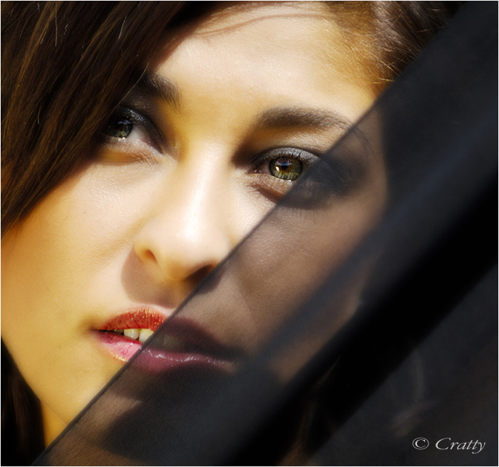 Copyright Stefano Maselli
