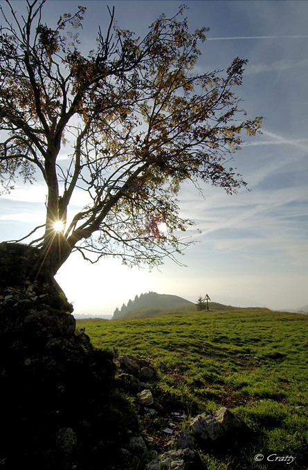Copyright Stefano Maselli