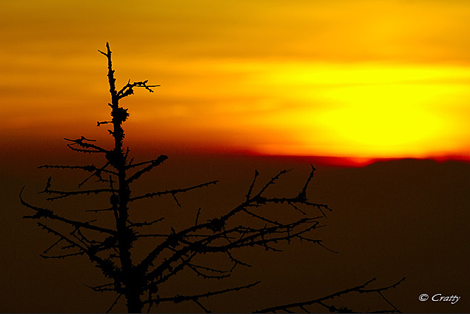 Copyright Stefano Maselli